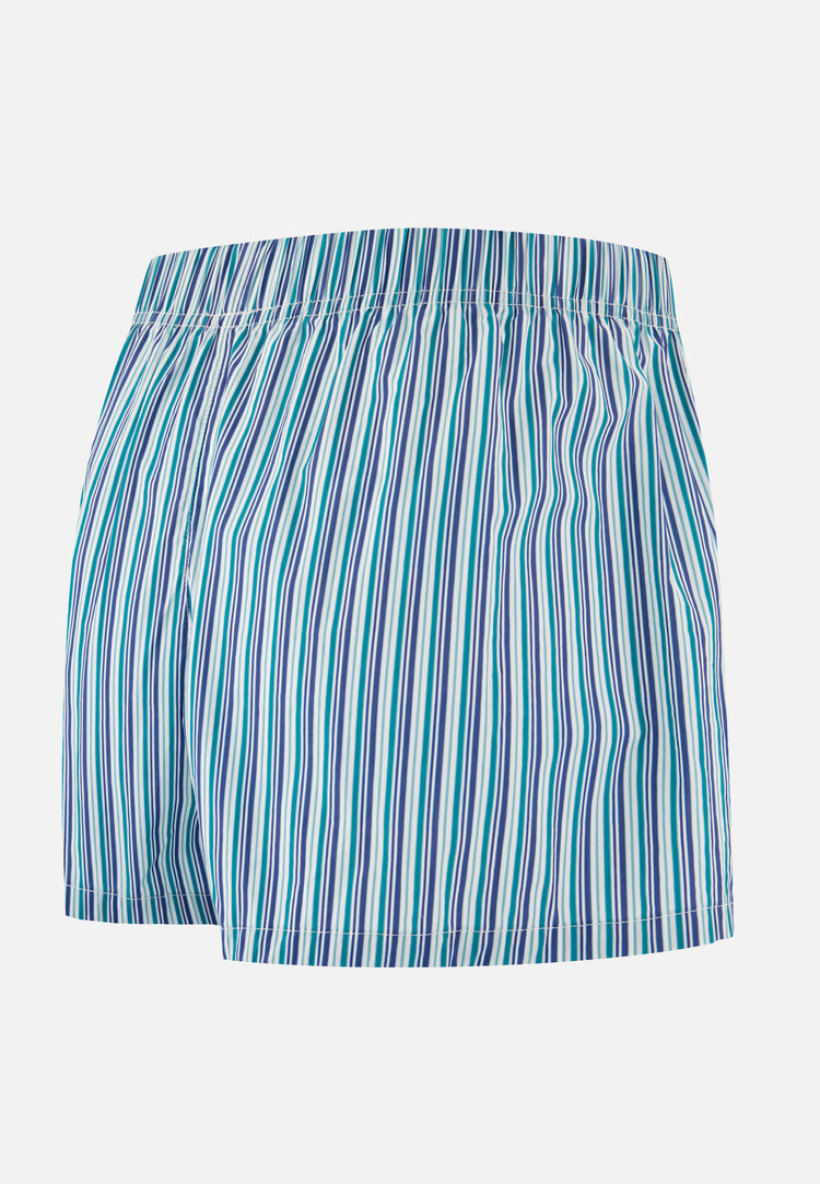 Caleçon en coton - Jacques Rayure Matelas Topaz - Le Slip Français - 6