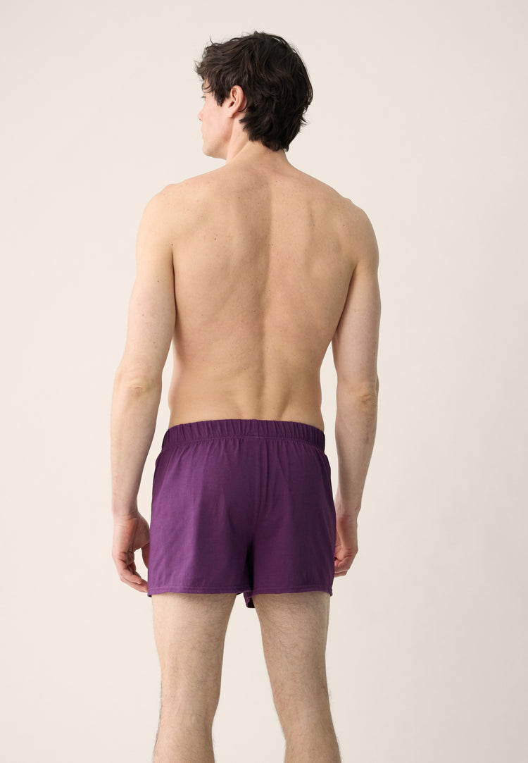 Caleçon prune en jersey de coton - Fredo Prune - Le Slip Français - 3