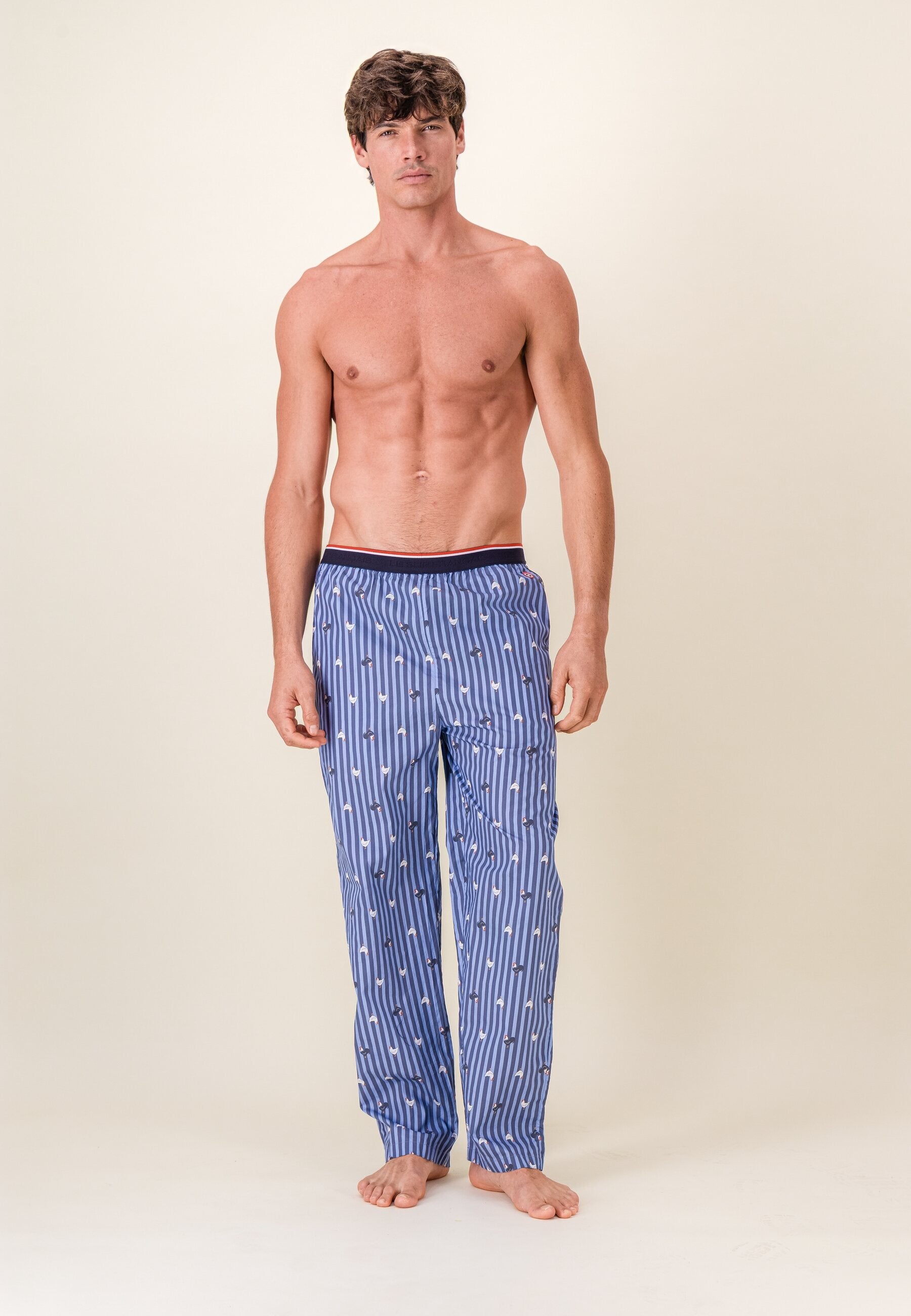 Bas de pyjama long à motif rayure coq bleu acier en coton - Bastien Rayure Coq Bleu Acier - Le Slip Français -  1