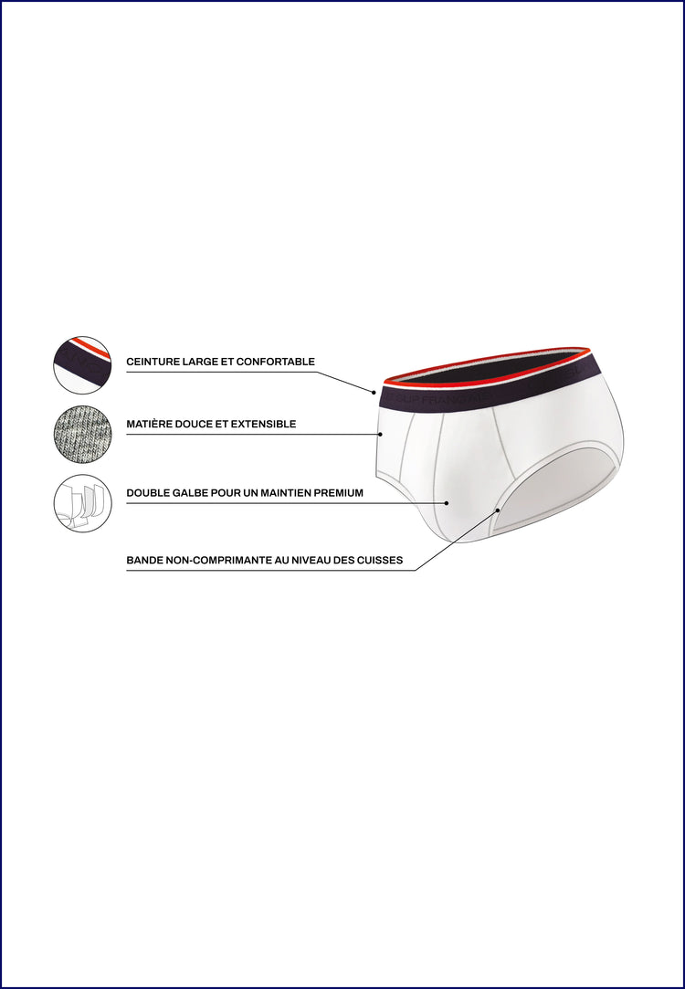 Slip en coton - Terrible Gavotte Prune - Le Slip Français - 4