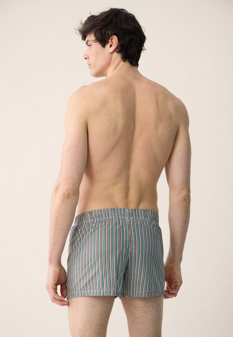 Caleçon en coton - Jacques Rayure Matelas Marbre Vert - Le Slip Français - 3