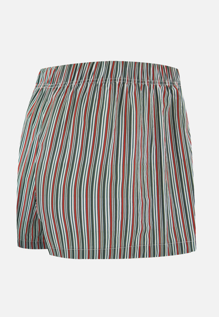 Caleçon en coton - Jacques Rayure Matelas Marbre Vert - Le Slip Français - 6