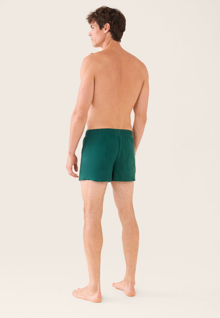 Caleçon vert sapin en jersey de coton - Fredo Vert Sapin - Le Slip Français - 3