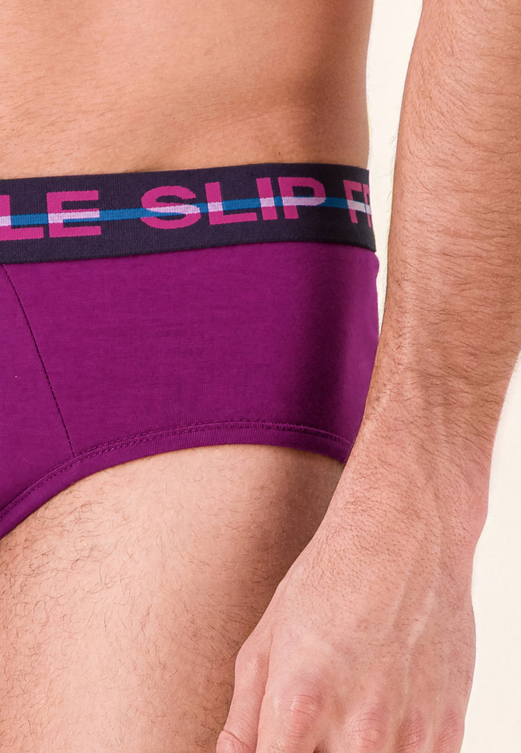 Slip violet en coton - Intrépide Violet Profond - Le Slip Français - 4
